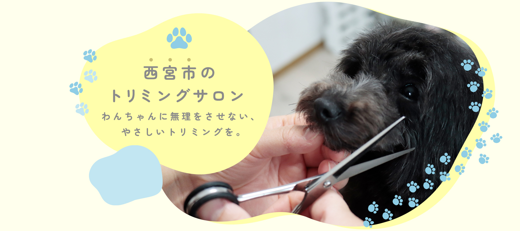 西宮市のトリミングサロン