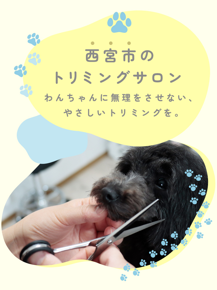 西宮市のトリミングサロン