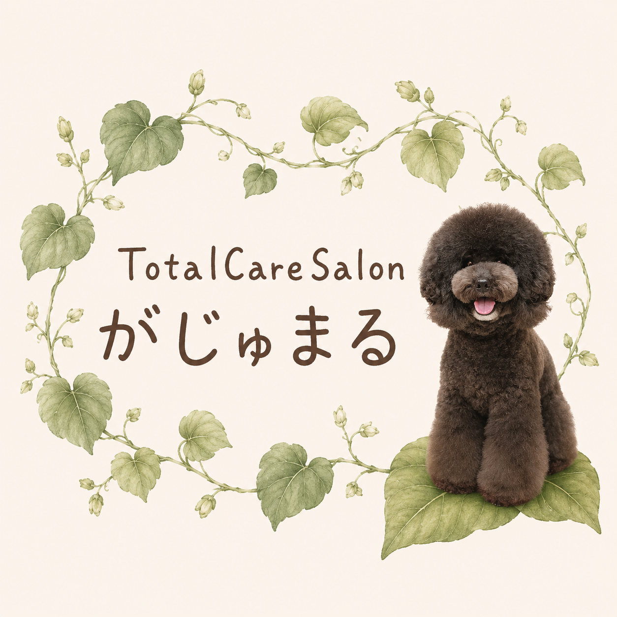 ＊Total Care Salon がじゅまるという名前に込めた想い＊